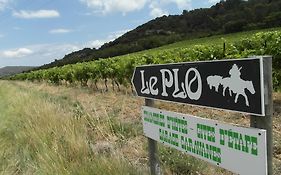 Bergerie Du Plo